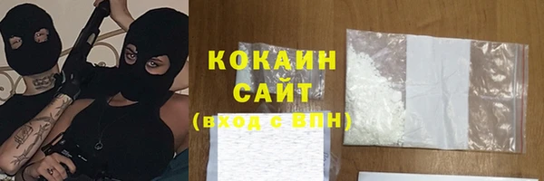 меф Дмитриев